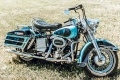7300 ¤ Harley Elvis
