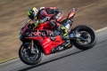 WSBK Bautista vainqueur douleur