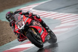 WSBK : Redding retarde le sacre - Crédit photo : Ducati