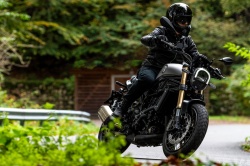Benelli Leoncino 800 2021