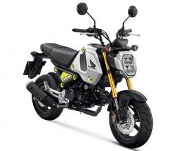 Honda MSX125 Grom