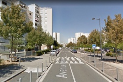 L'avenue Voltaire de Vaulx-en-Velin où est survenu le drame - Crédit photo : Google