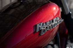 Harley revient à ses fondamentaux