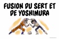 Fusion teams endurance