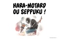 Hara Motard Seppuku