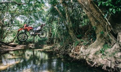 A travers la jungle du Darien