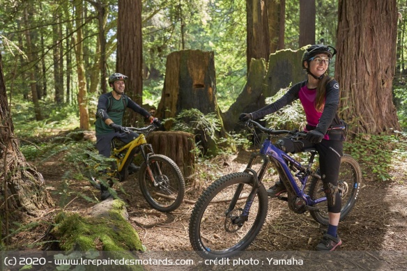 Le VTT AE reste pour l'heure réservé au marché américain
