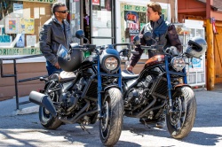 Customs Honda Rebel 2022