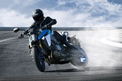 Roadster Suzuki GSX-S 1000 2021