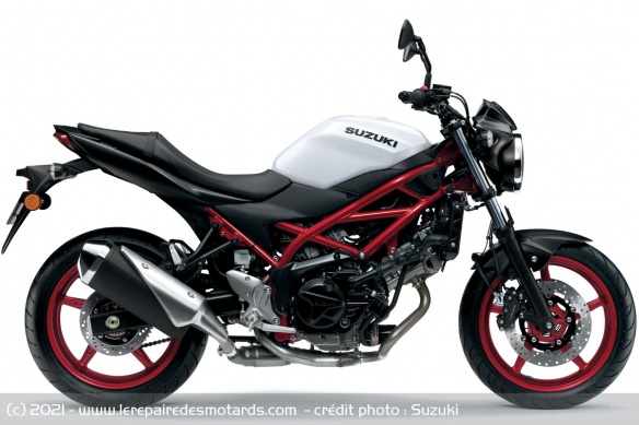 Roadster Suzuki SV650 2021