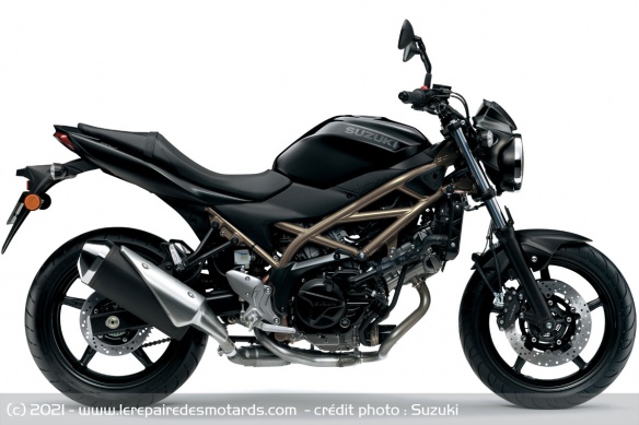 Roadster Suzuki SV650 2021