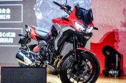 Trail Cyclone RX6 650