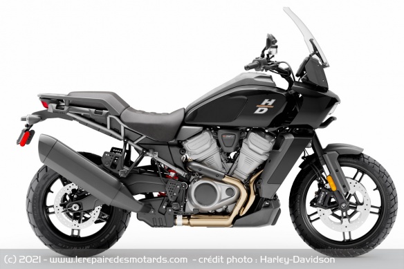 Tail Harley-Davidson Pan America 1250
