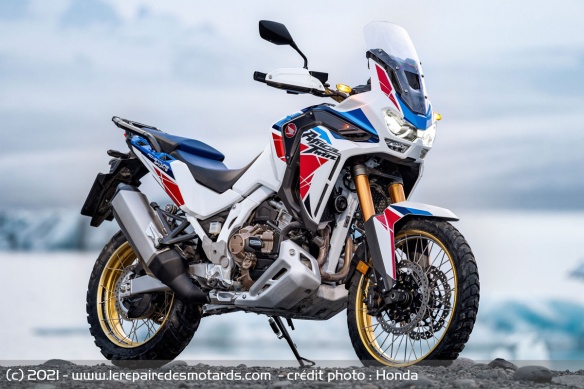 L'Adventure Sports adopte une déco Cracked Terrain L'Adventure Sports adopte une déco Cracked Terrain