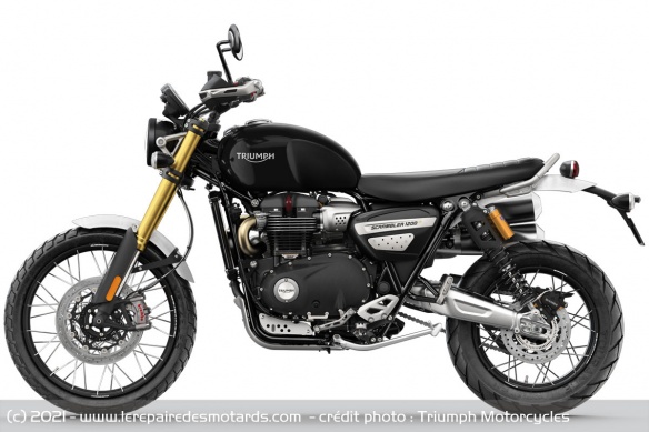 Les Scrambler bénéficient cette année d'un coloris noir Les Scrambler bénéficient cette année d'un coloris noir