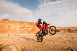 Dakar : Benavides ouvre son compteur après une chute - Crédit photo : DPPI/F.Le Floc'h