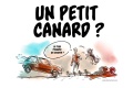 Un canard route ?