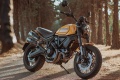 Nouveaut 2025 Ducati Scrambler 1100 Tribute PRO