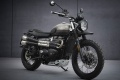 Nouveaut 2025 Triumph Street Scrambler 900 Sandstorm Edition