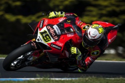 WSBK : la course Superpole pour Bautista - Crédit photo : Ducati