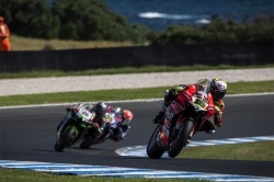 WSBK : doublé de Bautista en Autralie - Crédit photo : Ducati