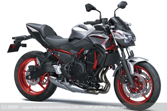 Kawasaki Z 650 Argent Metallic Phantom / Gris Metallic Carbon