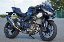 Une 250 qui roule à 250 - Crédit photo : Trick Star