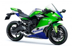 La Kawasaki ZX-4R fin prête ?