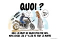 Non pot homologué sauve motards