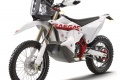 GasGas RX 450F Replica