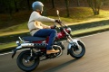 Nouveaut 2025 Honda ST125 Dax