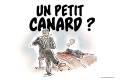 Record morts course moto petit canard ?