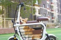 Un scooter électrique emmener animal compagnie
