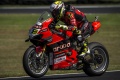 WSBK Bautista pole à Phillip Island