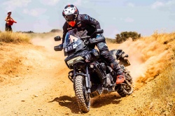 Harley-Davidson se lance en rallye raid