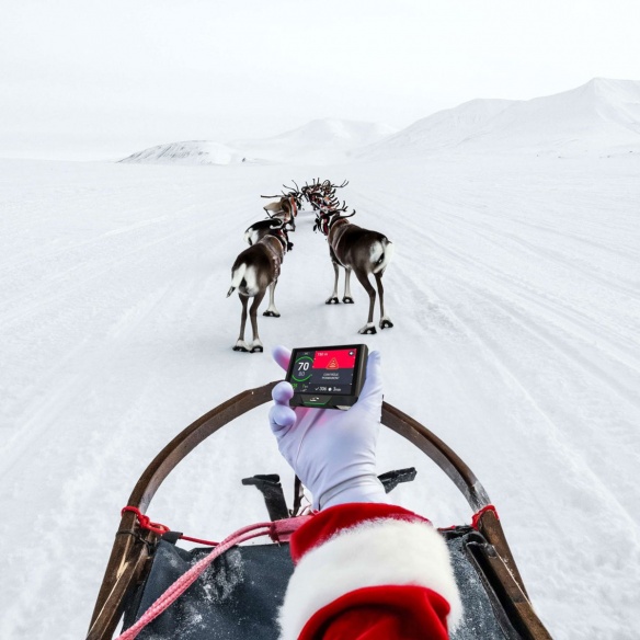 Joyeuses fêtes à tous Coyote