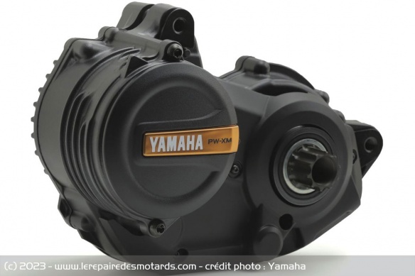 Moteur Yamaha PW-XM Moteur Yamaha PW-XM