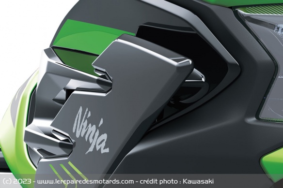 Sportive Kawasaki Ninja 500 SE