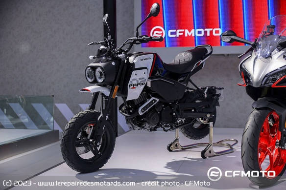 Scrambler CFMoto XO Papio Trail