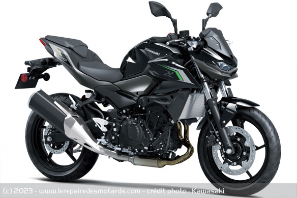 Roadster Kawasaki Z500