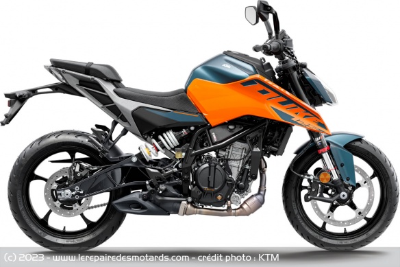 Roadster KTM 125 Duke 2024