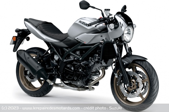 Roadster Suzuki SV650X