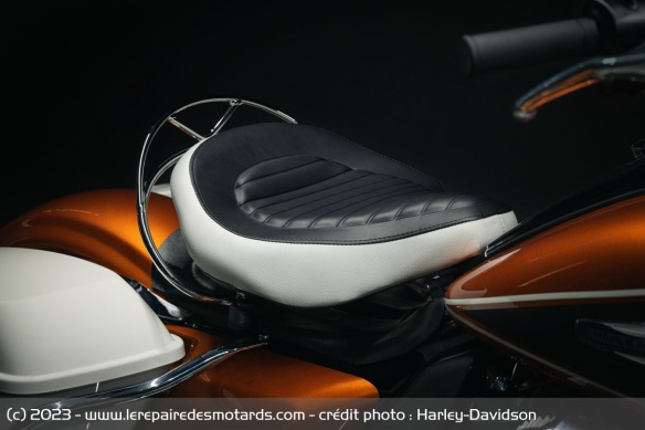 La selle solo suspendue rappelle les productions des 60's La selle solo suspendue rappelle les productions des 60's