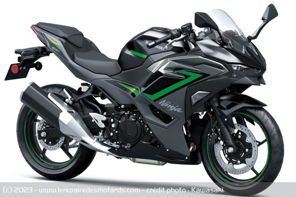 Sportive Kawasaki Ninja 500 SE