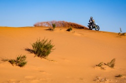 Dakar : Benavides remporte la 6e étape - Crédit photo : A.S.O./F.Gooden/DPPI