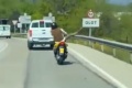 6 points dansé à scooter