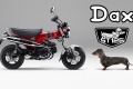 Gnration Honda ST Dax