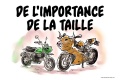 Monkey Kong importance taille à moto