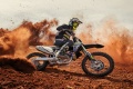Motocross Triumph TF 250 X
