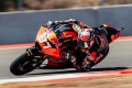 Moto2   Acosta large Indonsie